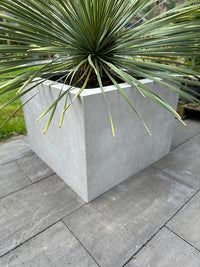 Planter cover