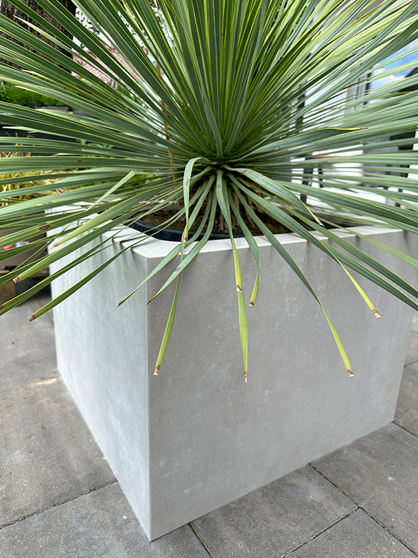 Planter cover